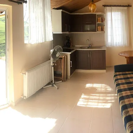 Villa Trabzon Villa *