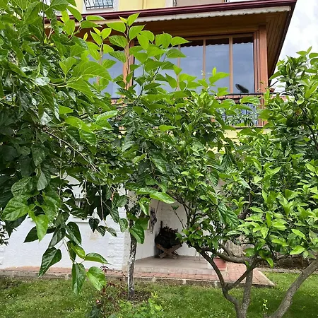 Trabzon Villa Trabzon