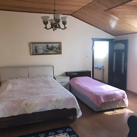 Villa Trabzon Villa
